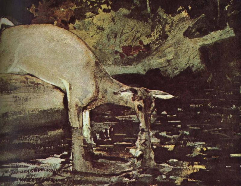 Winslow Homer Deer drink Germany oil painting art